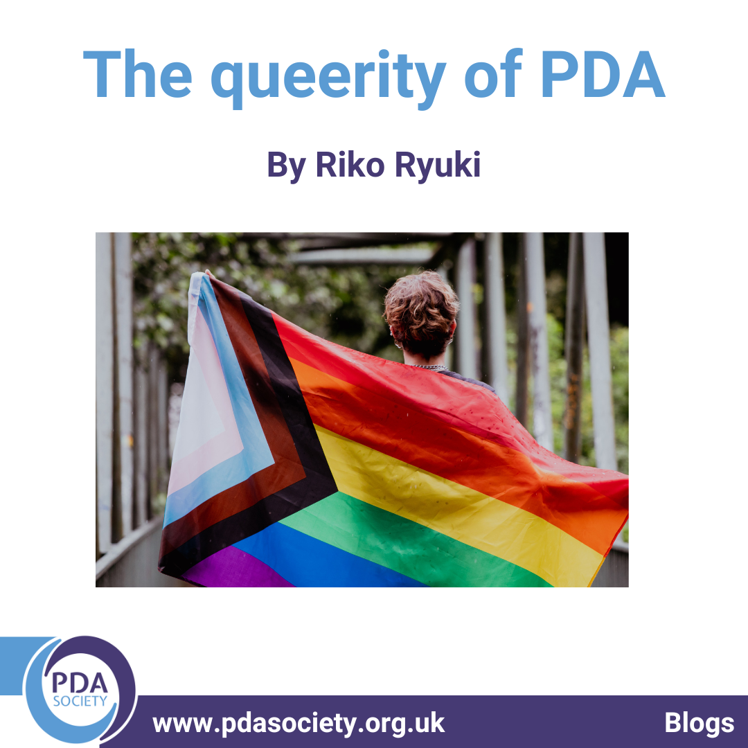 Photo of the back view of a person walking over a bridge, holding a rainbow pride flag behind them with the words "The queerity of PDA By Riko Ryuki. www.pdasociety.org.uk Blogs."